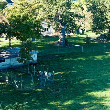 Σπίτι διακοπών Le Du Pech Chabrol Ribagnac