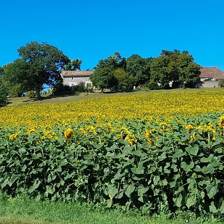 Σπίτι διακοπών Le Du Pech Chabrol Ribagnac