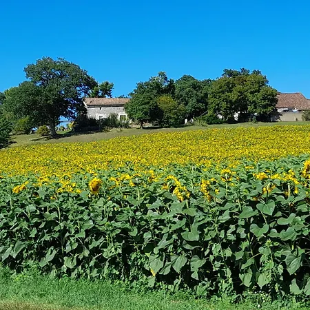 Le Du Pech Chabrol Ribagnac