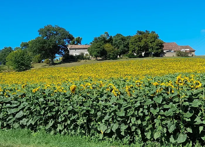 Ferienhaus Le Du Pech Chabrol Ribagnac